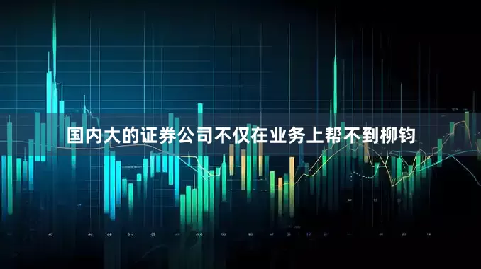 国内大的证券公司不仅在业务上帮不到柳钧