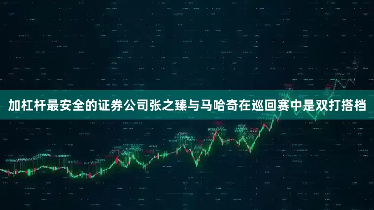 加杠杆最安全的证券公司　　张之臻与马哈奇在巡回赛中是双打搭档