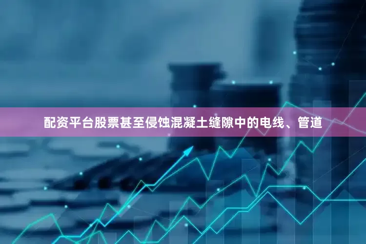 配资平台股票甚至侵蚀混凝土缝隙中的电线、管道