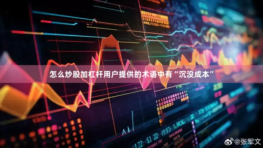 怎么炒股加杠杆用户提供的术语中有“沉没成本”