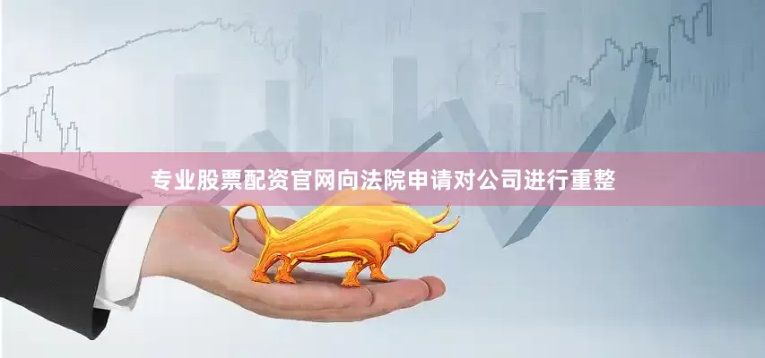 专业股票配资官网向法院申请对公司进行重整