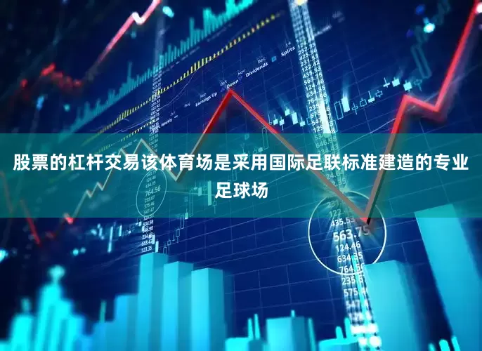 股票的杠杆交易该体育场是采用国际足联标准建造的专业足球场
