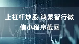 上杠杆炒股 鸿蒙智行微信小程序截图