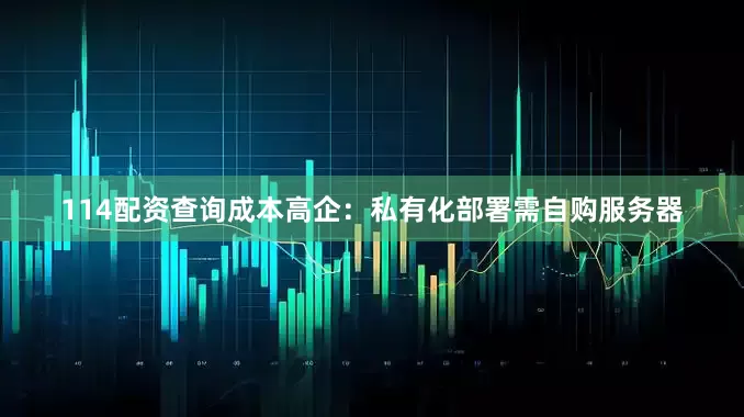 114配资查询成本高企：私有化部署需自购服务器