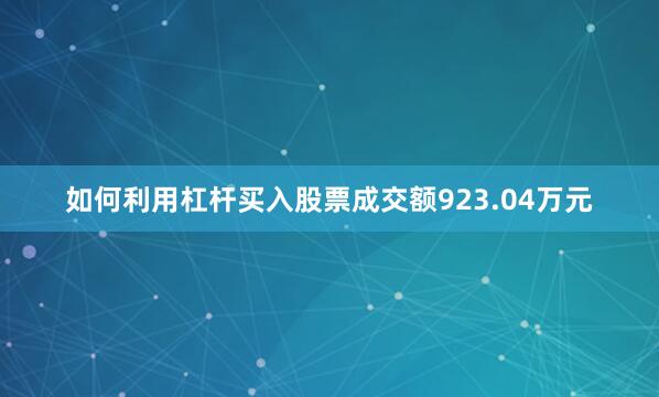 如何利用杠杆买入股票成交额923.04万元