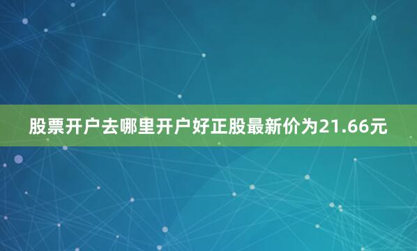 股票开户去哪里开户好正股最新价为21.66元